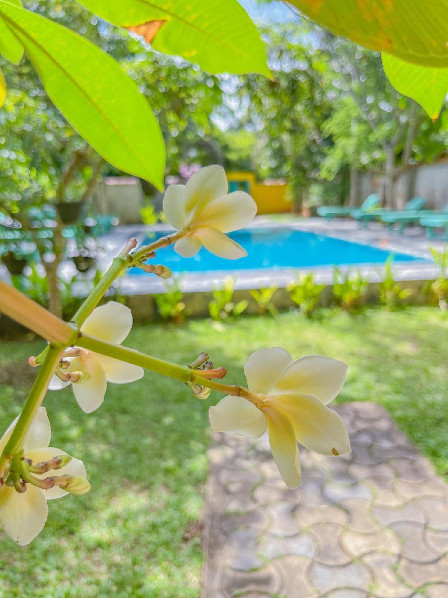 Easy Living Hotel Хикадува Екстериор снимка